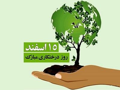 هفته درختكاري