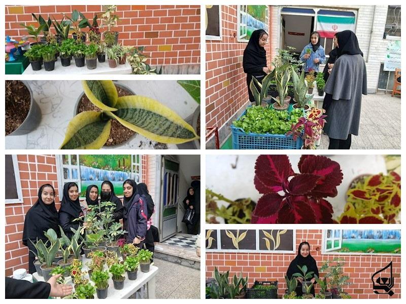 فروش گل و گياه به مناسبت روز درختكاري/1403